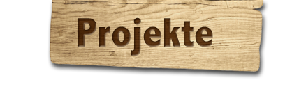 Projekte